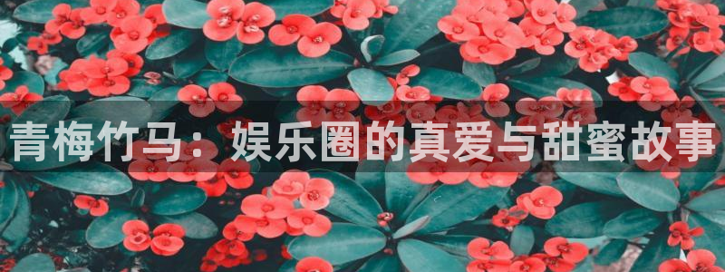 蓝狮在线的钱能提出来吗