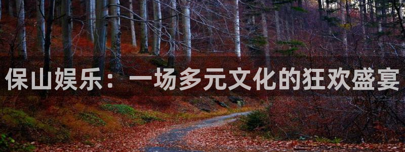 蓝狮在线邀请码怎么获得