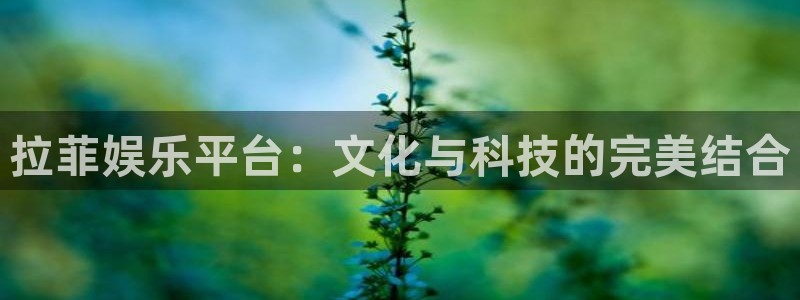 蓝狮在线注册平台官网
