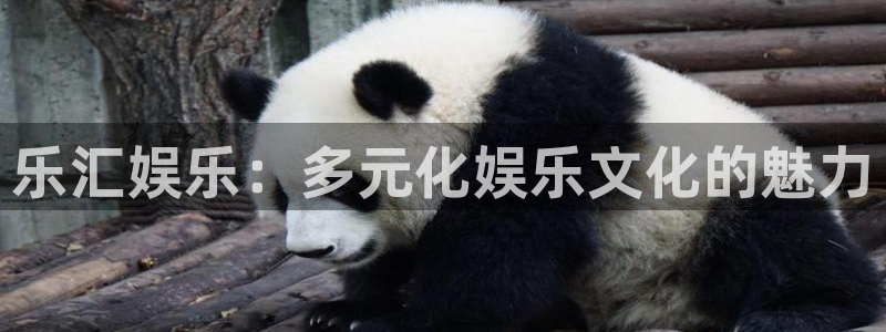 蓝狮在线的钱能提出来吗
