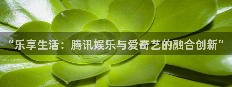 蓝狮在线登录