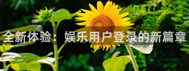 蓝狮在线平台